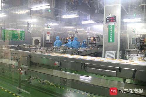 東莞“倍增計(jì)劃”申報(bào)啟動(dòng) 新評(píng)價(jià)體系引領(lǐng)高質(zhì)量發(fā)展，信息服務(wù)業(yè)務(wù)迎新機(jī)遇